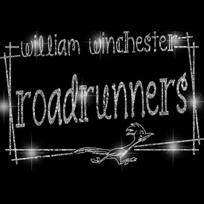 GLT90 SILVER GLITTER Thumbnail